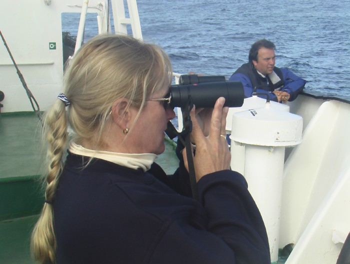 On the Bow 